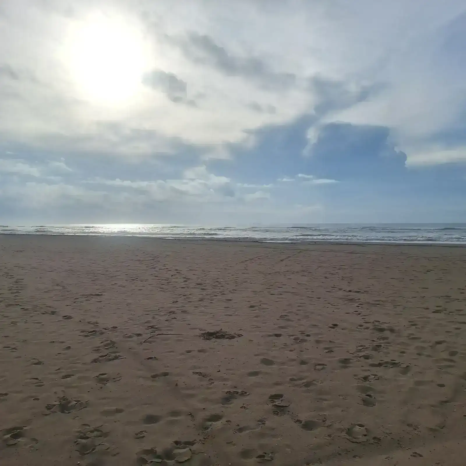 1000579866.webp