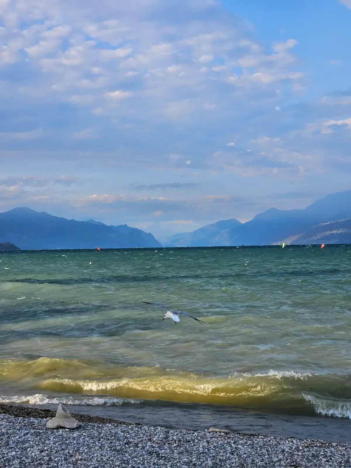 1000761885.webp