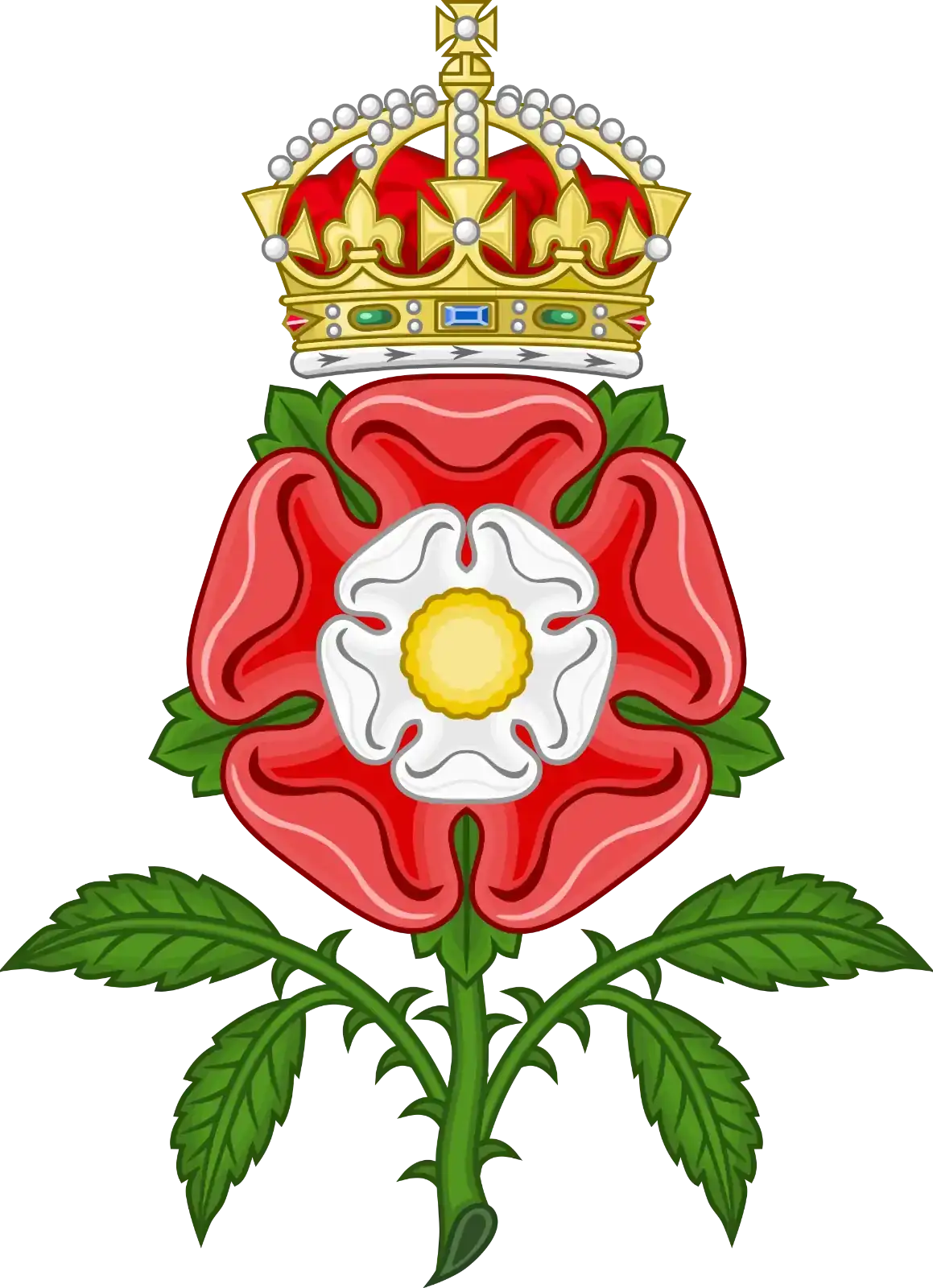 1000769484.webp