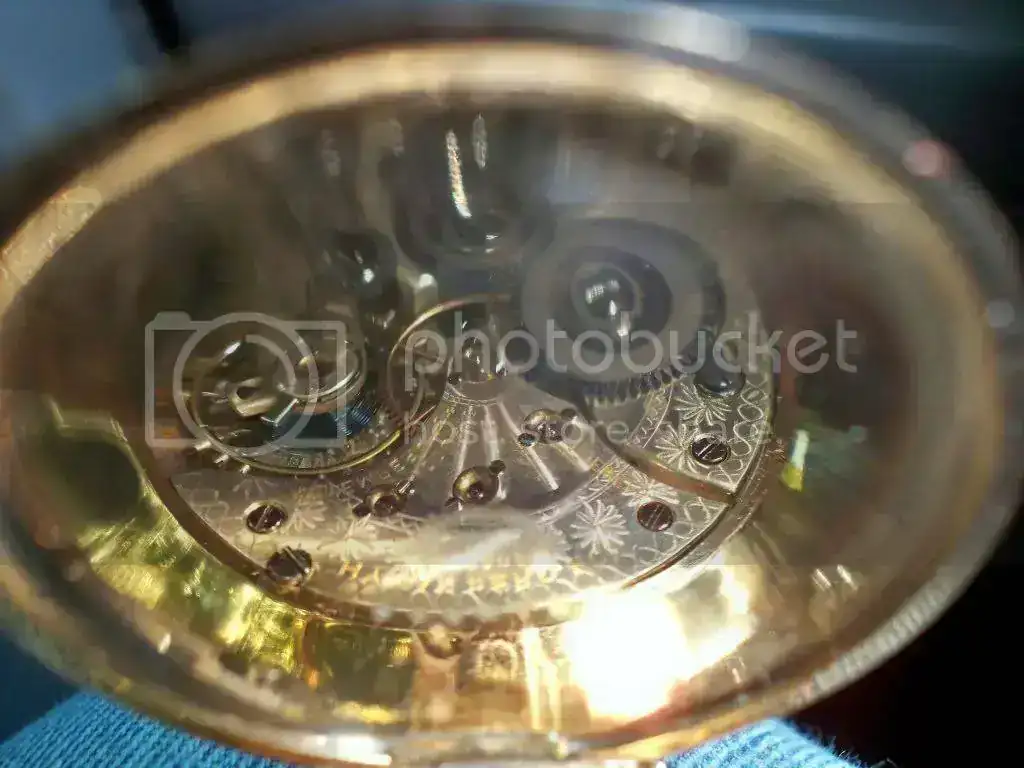 100_0008.webp