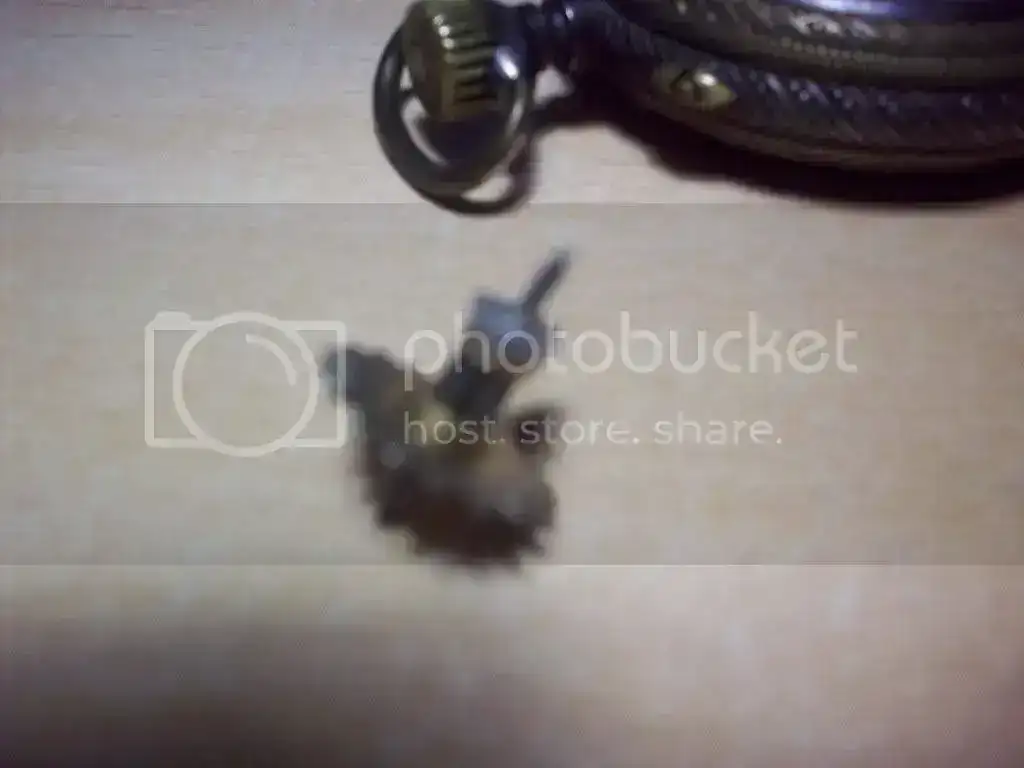 100_0463.webp