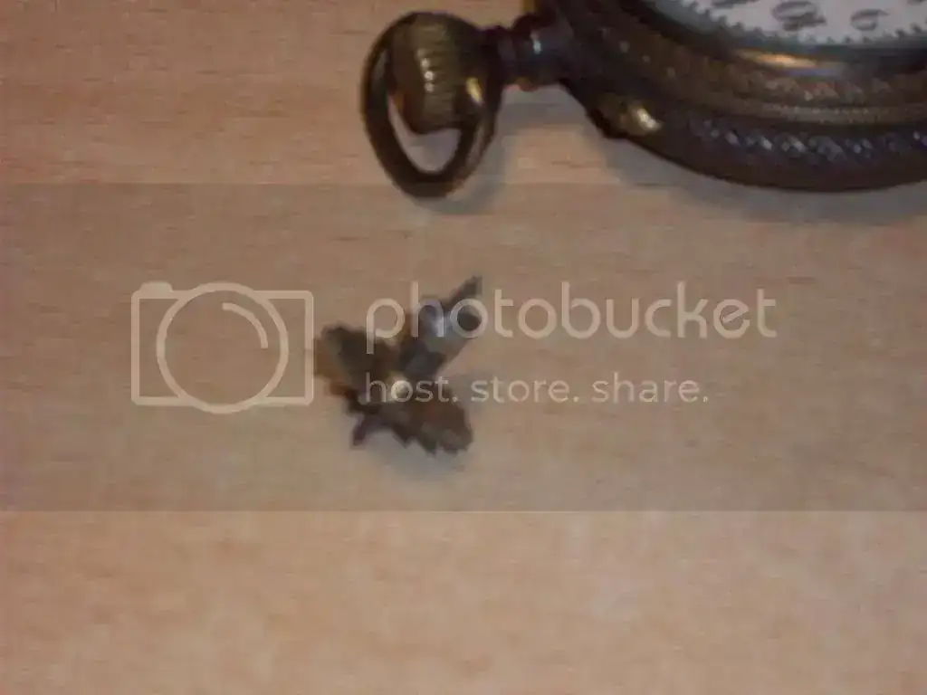 100_0464.webp
