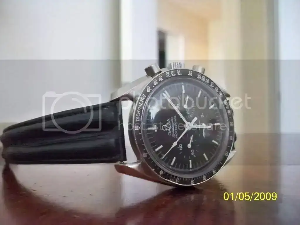 100_0504.webp