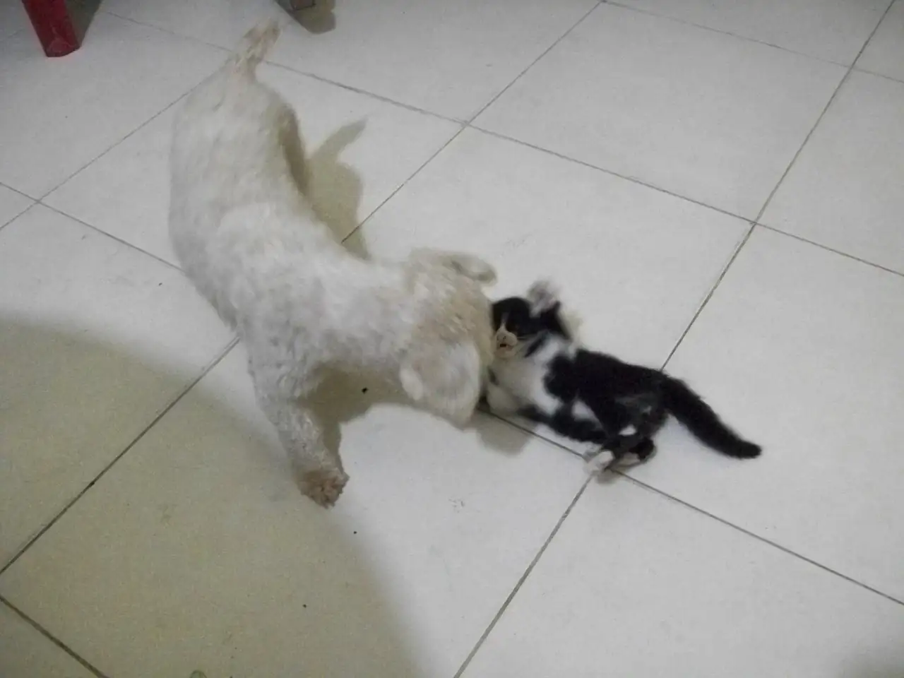 100_0739.webp