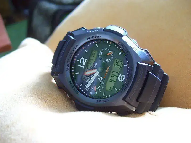 100_4737r66f.webp