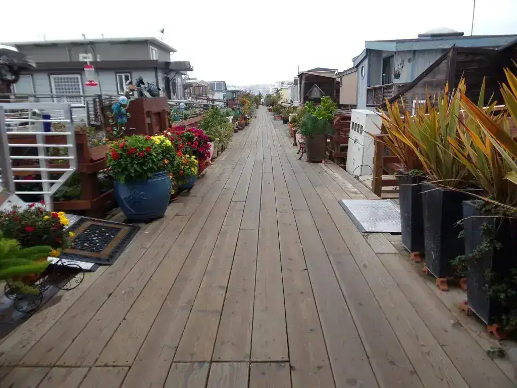 100_4900.webp