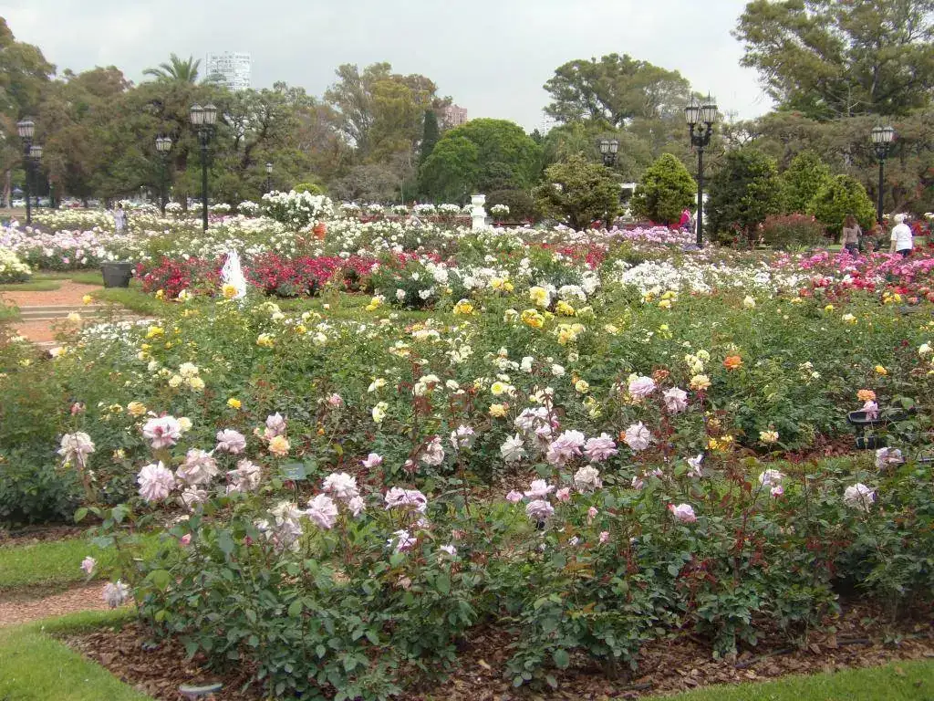 100_6700.webp