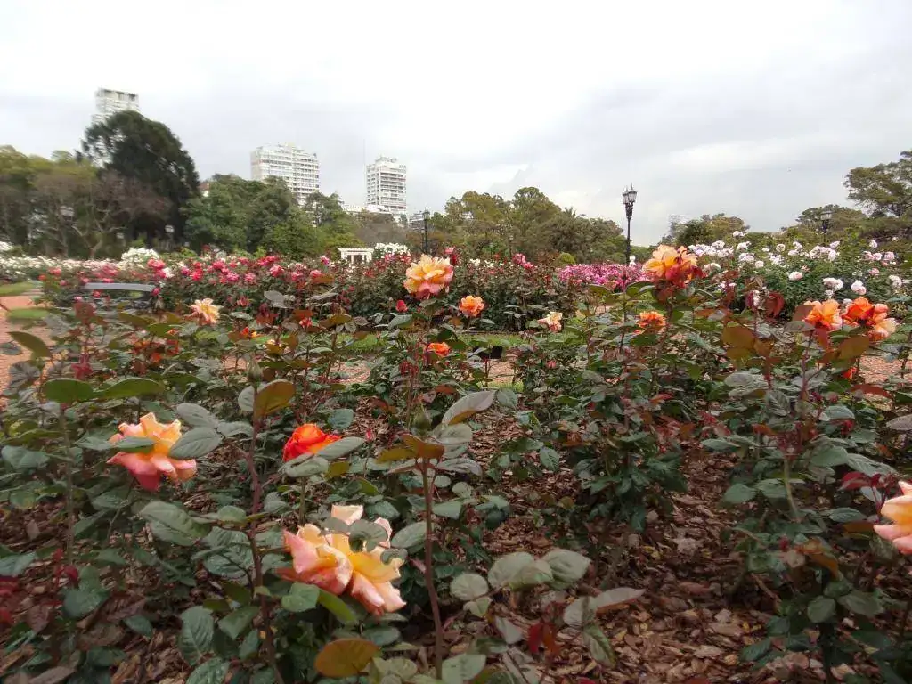 100_6704.webp