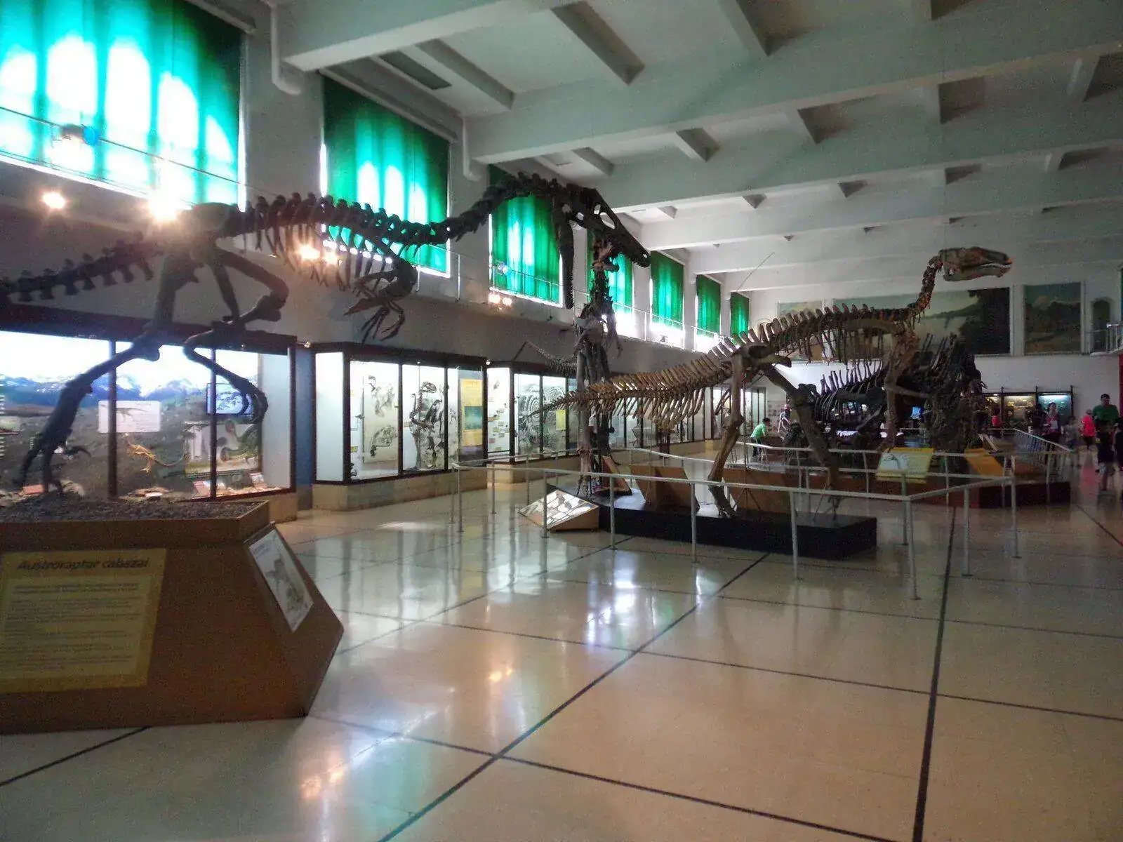 100_7328.webp