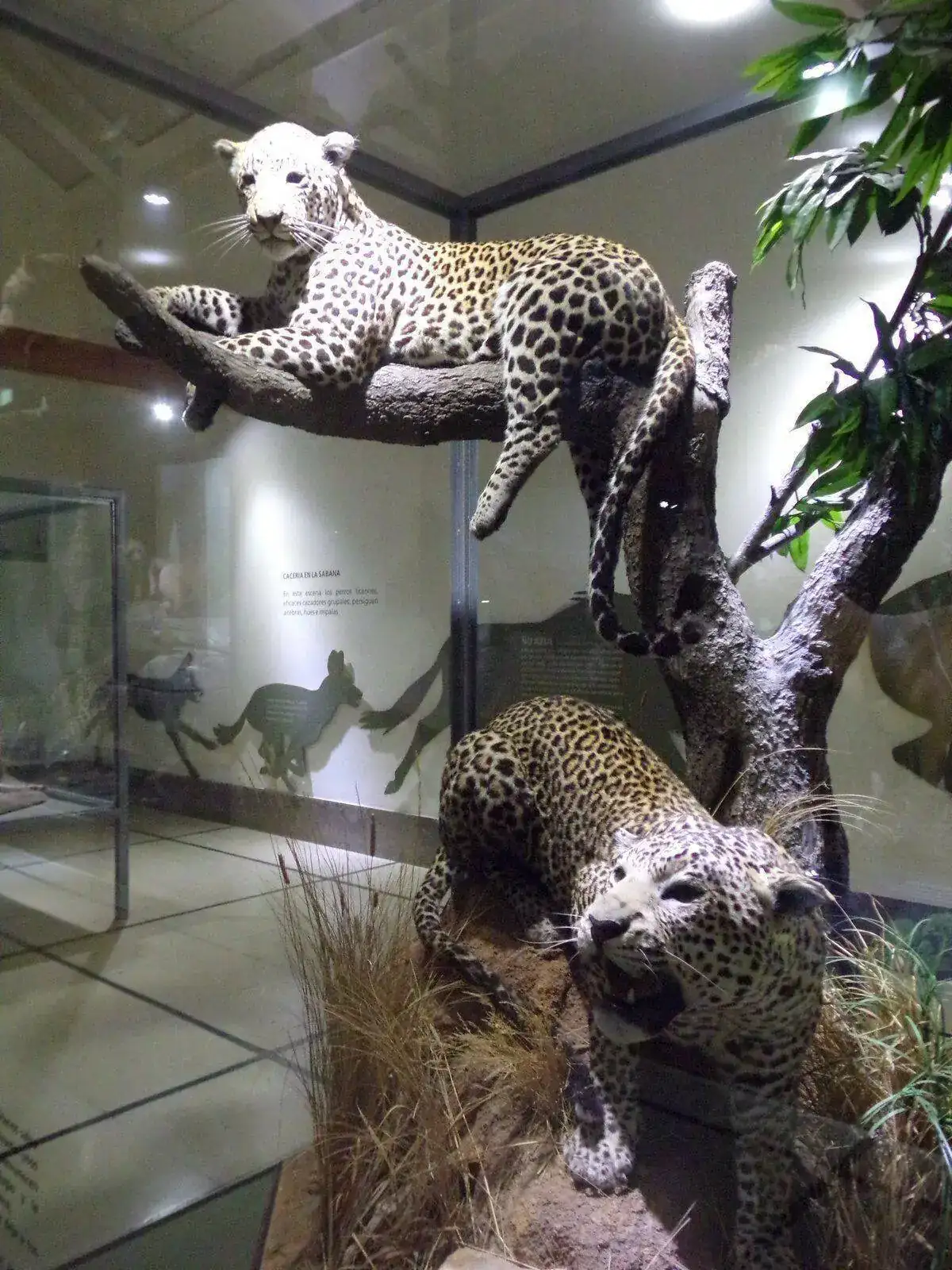 100_7360.webp