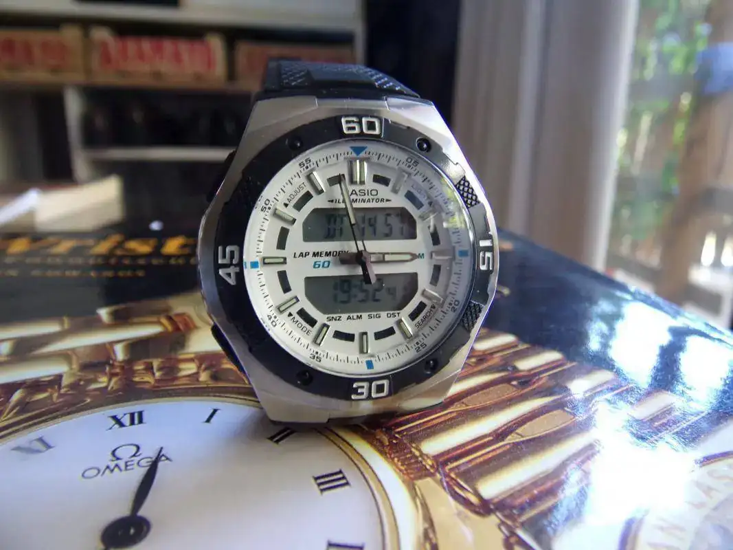 100_7680.webp
