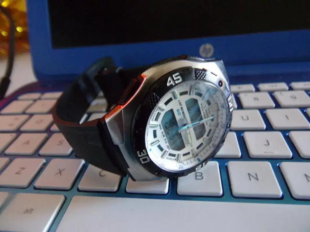 100_7697.webp