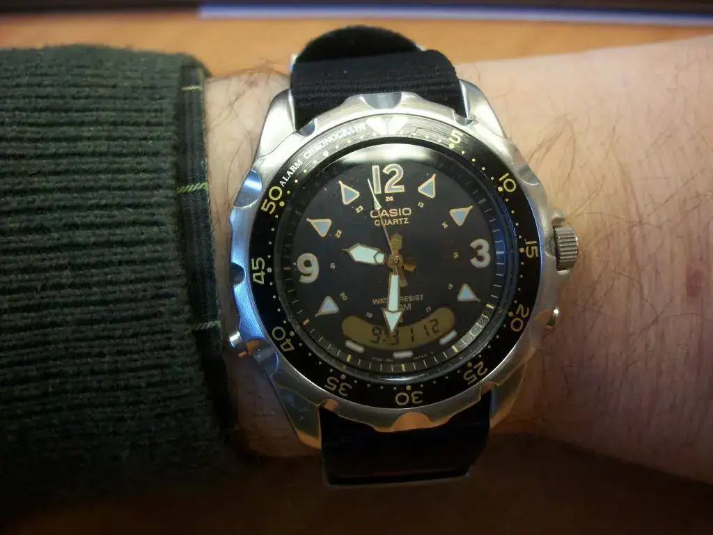 100_8351.webp