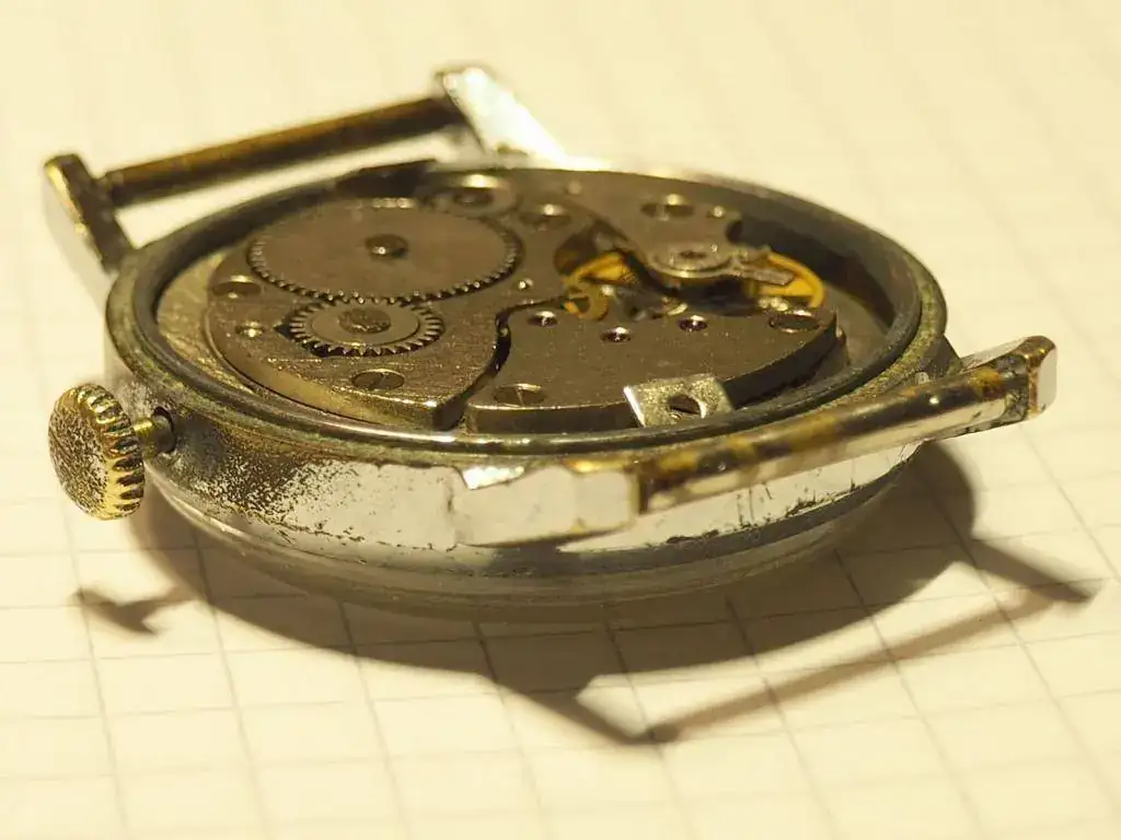 100A3184_01.webp