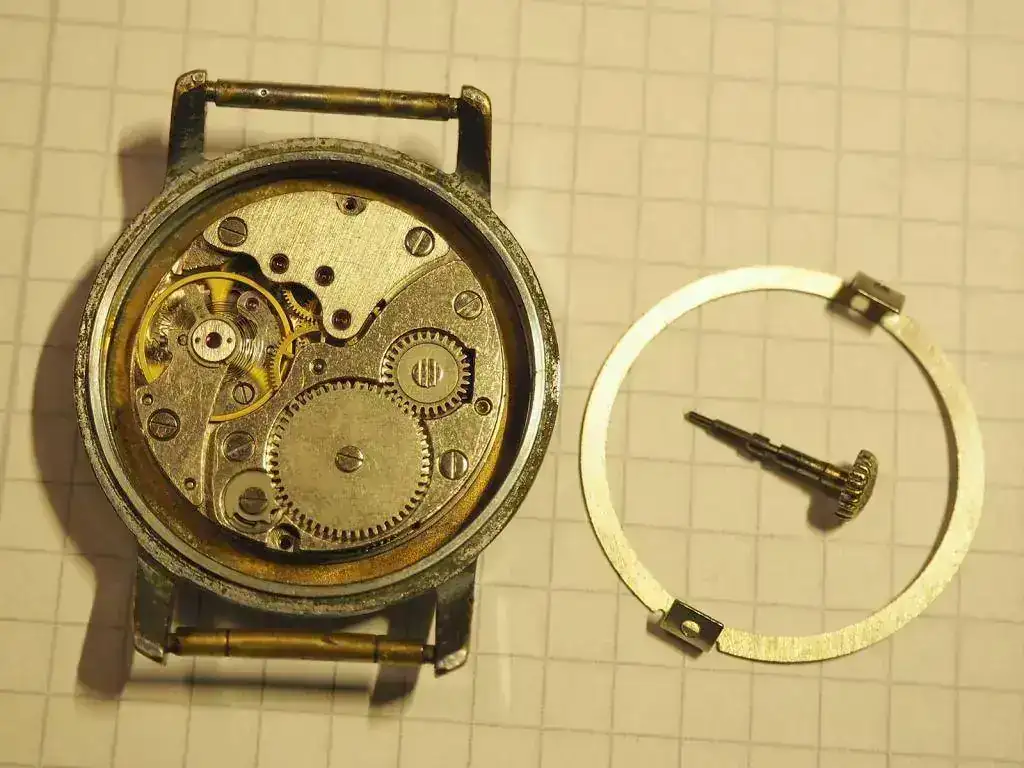 100A3187_01.webp