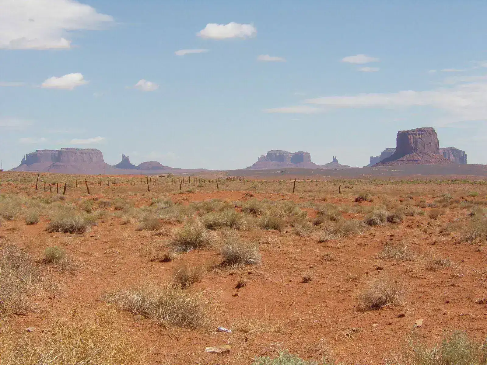 102_4177.webp