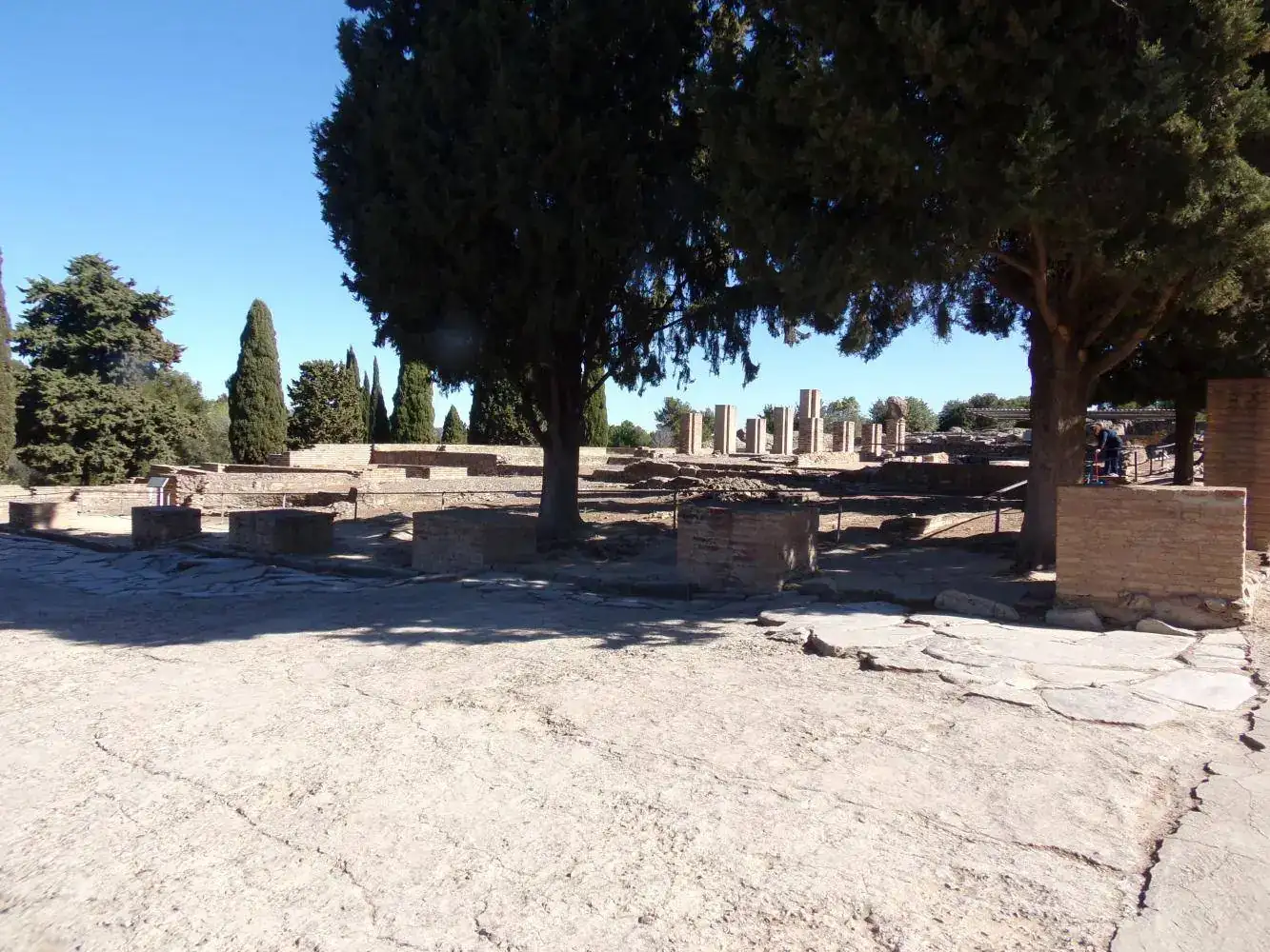 102_6915.webp