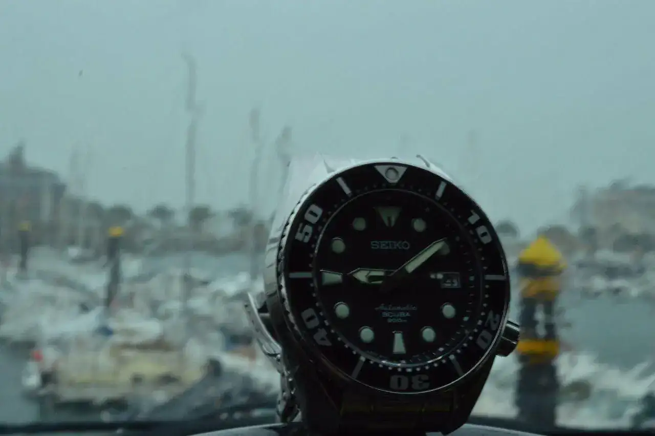 10666338506_43943753d3_h.webp