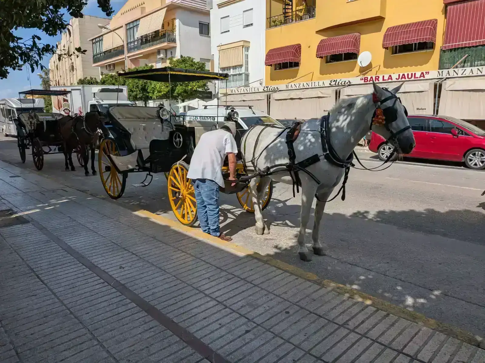 10775.webp