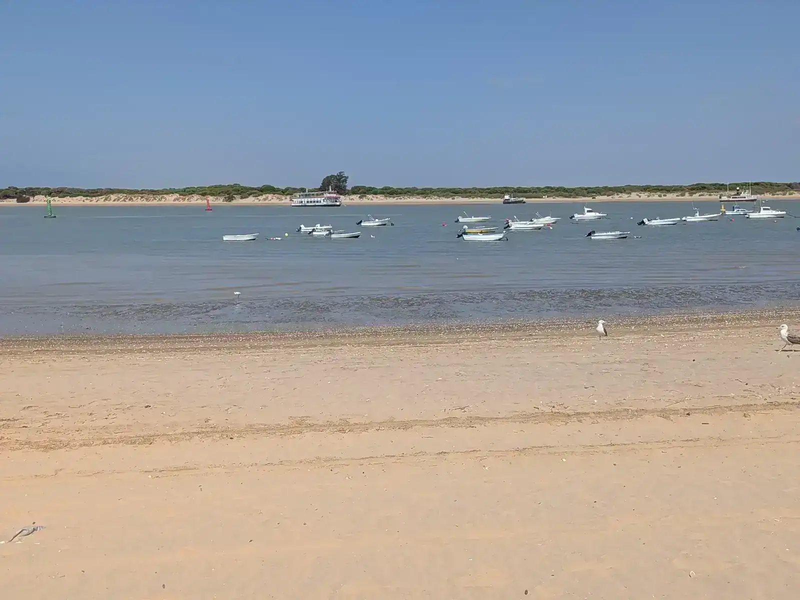 10784.webp