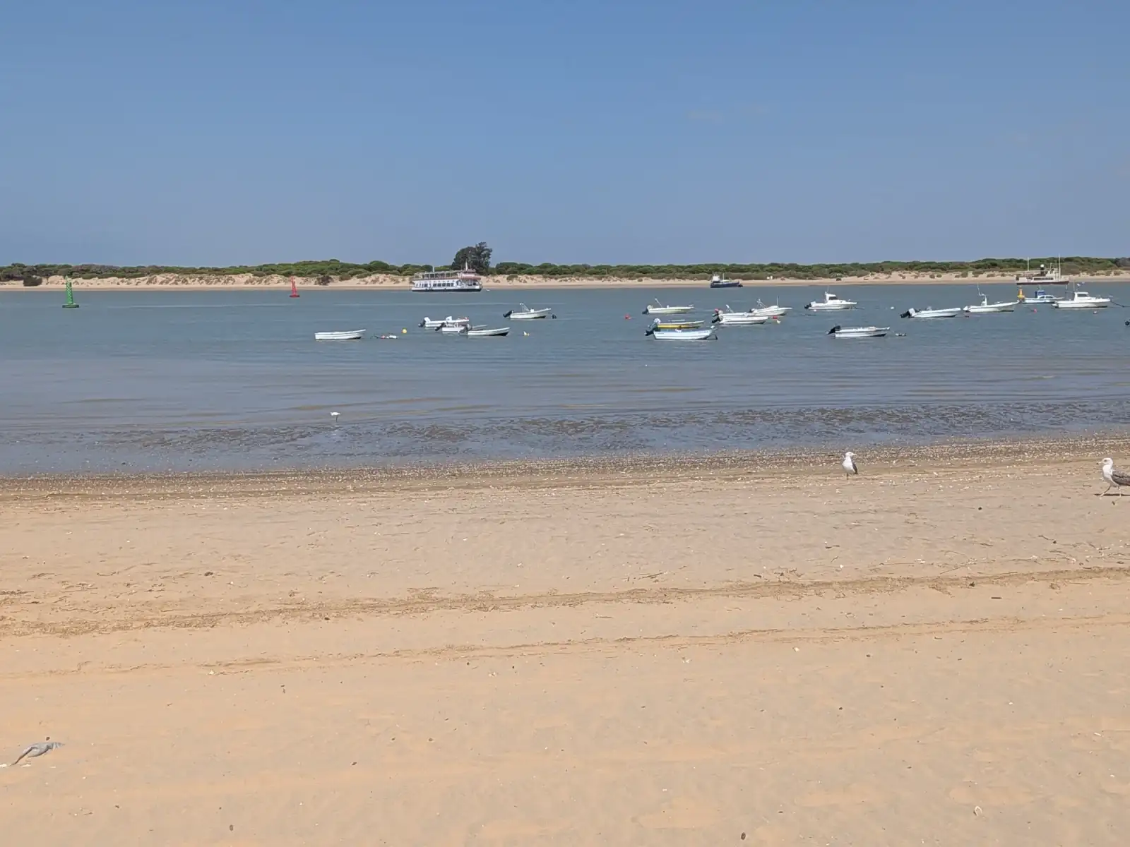 10784.webp