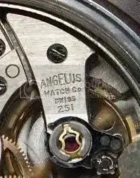 11%20angelus_incastar.webp
