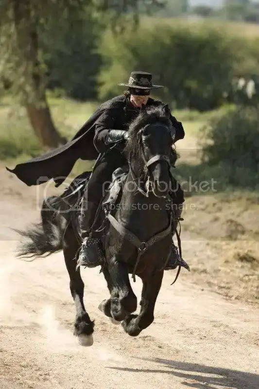 1103zorro16.webp