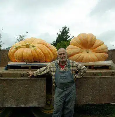 112-yo-y-mi-calabaza-4-bis.webp