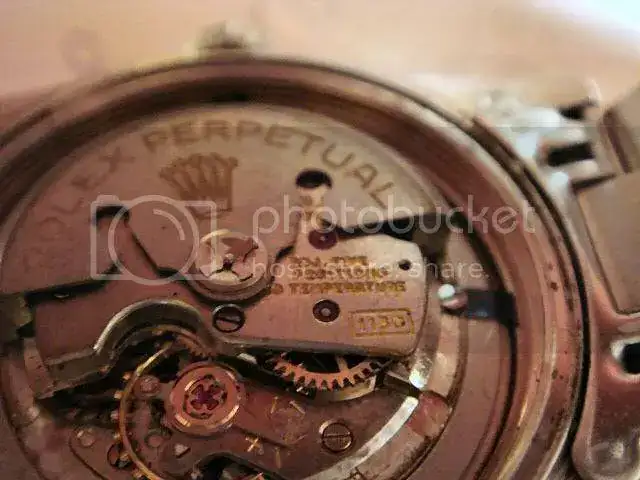 1130movement.webp