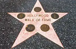 1177_holly_1_stars.webp