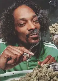 12002a9589de365815e459c0255--snoop-dogg-smoke-weed.webp
