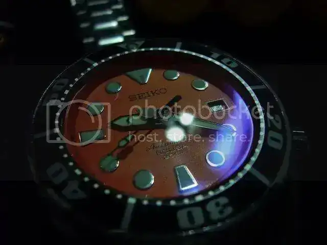 1210685726.webp
