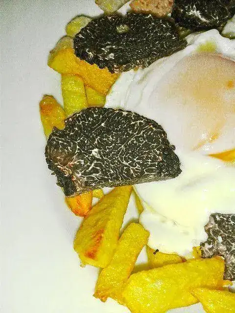 12318646644_55c4cf18c5_z.webp