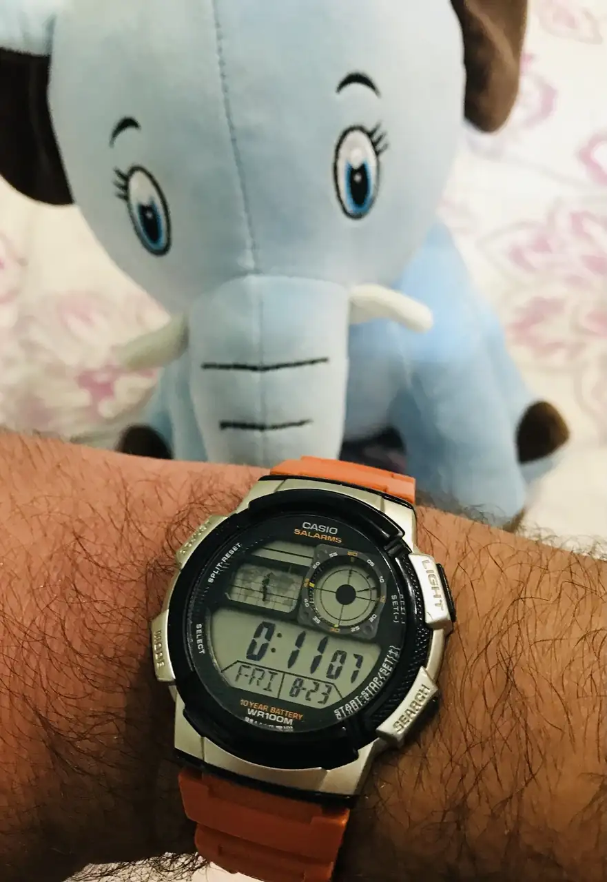 12604217-D00E-4BF8-B4C7-34C137883690.webp