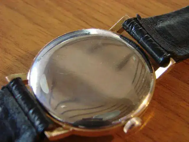 12888658.webp