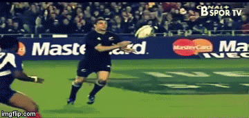 12ycdn.gif