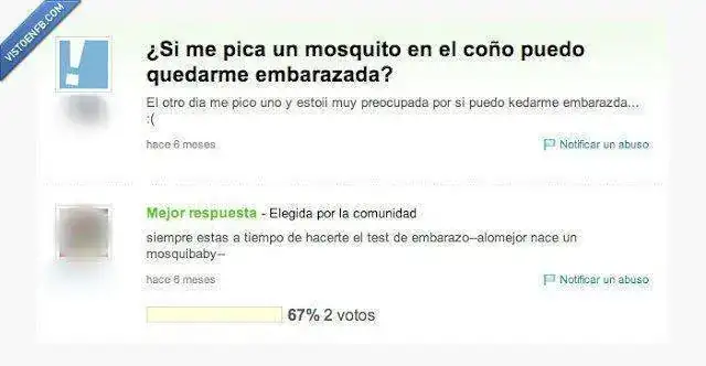 130279_yahoo_respuestas_embarazada_por_un_mosquito.webp