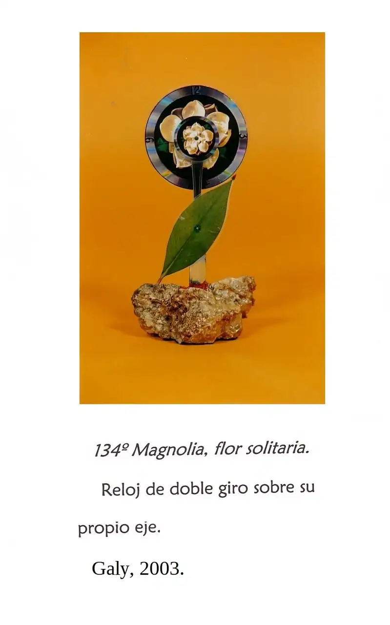 134.webp