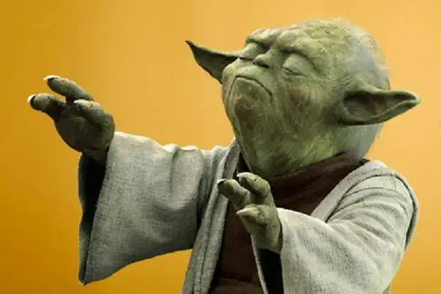 135528011_yoda_446072c.webp
