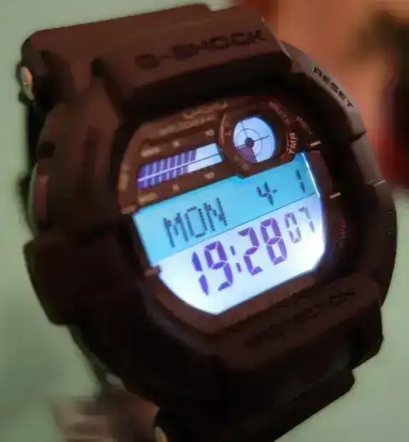 13561992.webp