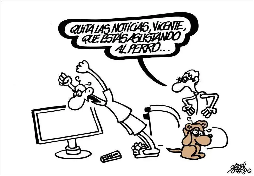 1377181539_302272_1377181635_noticia_normal.webp