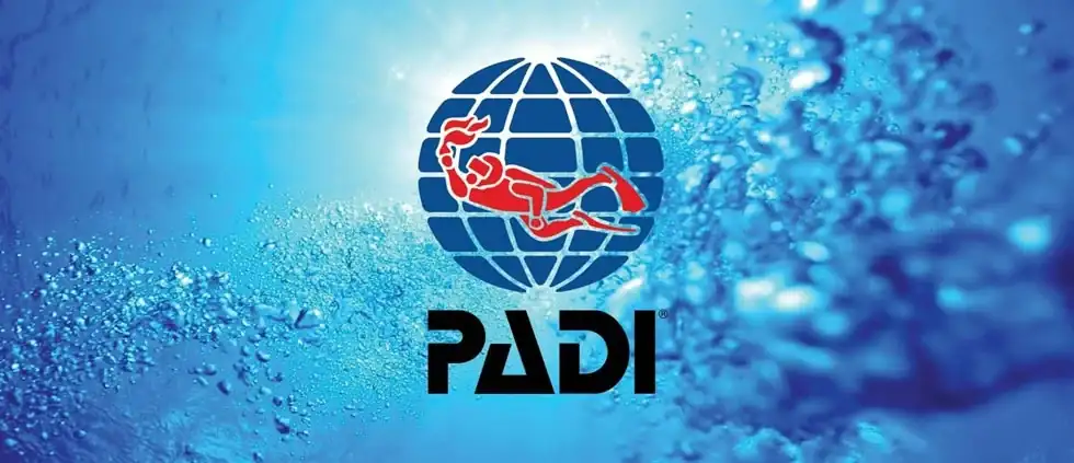 14-1-PADI-LOGO.webp