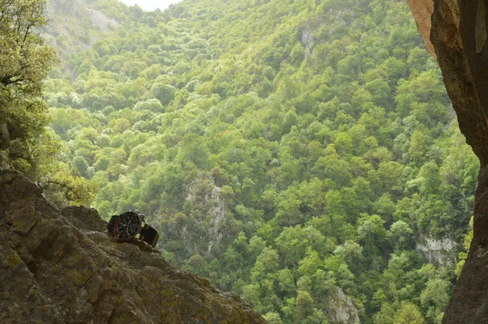 14265557875_983eaa35eb_h.webp