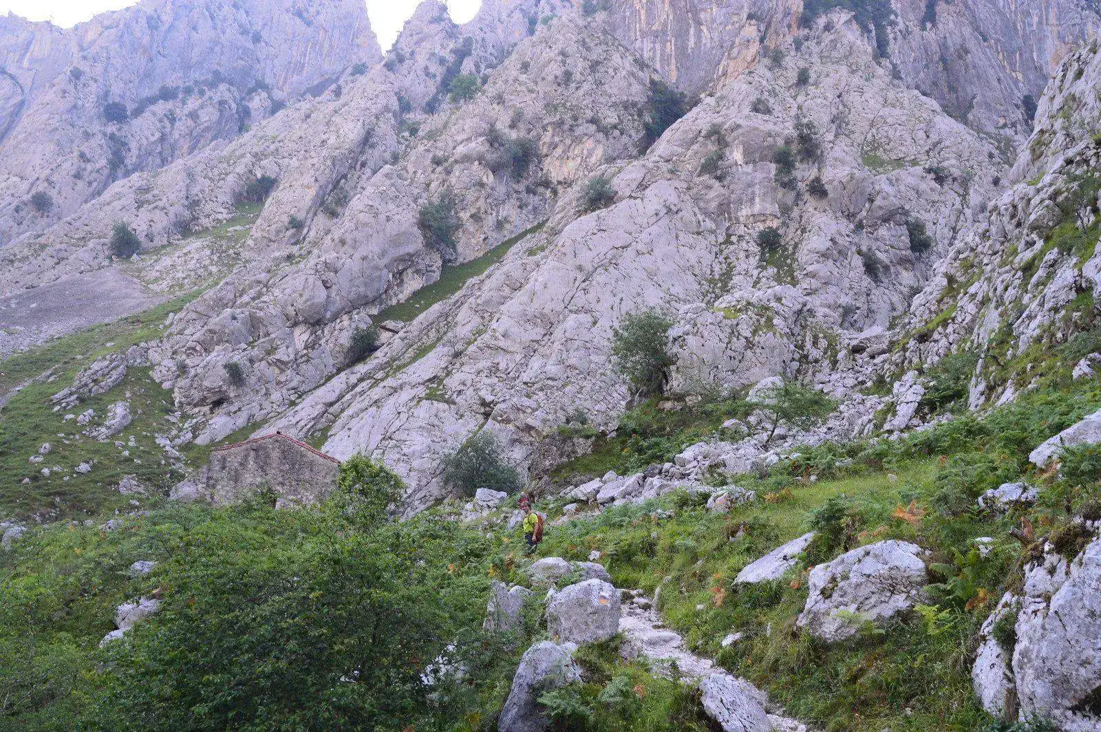 14300918317_0f01ec78bb_h.webp