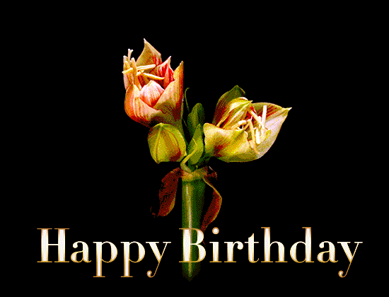 143020861happy-birthday-amazing-flowers-bloom-gif.gif