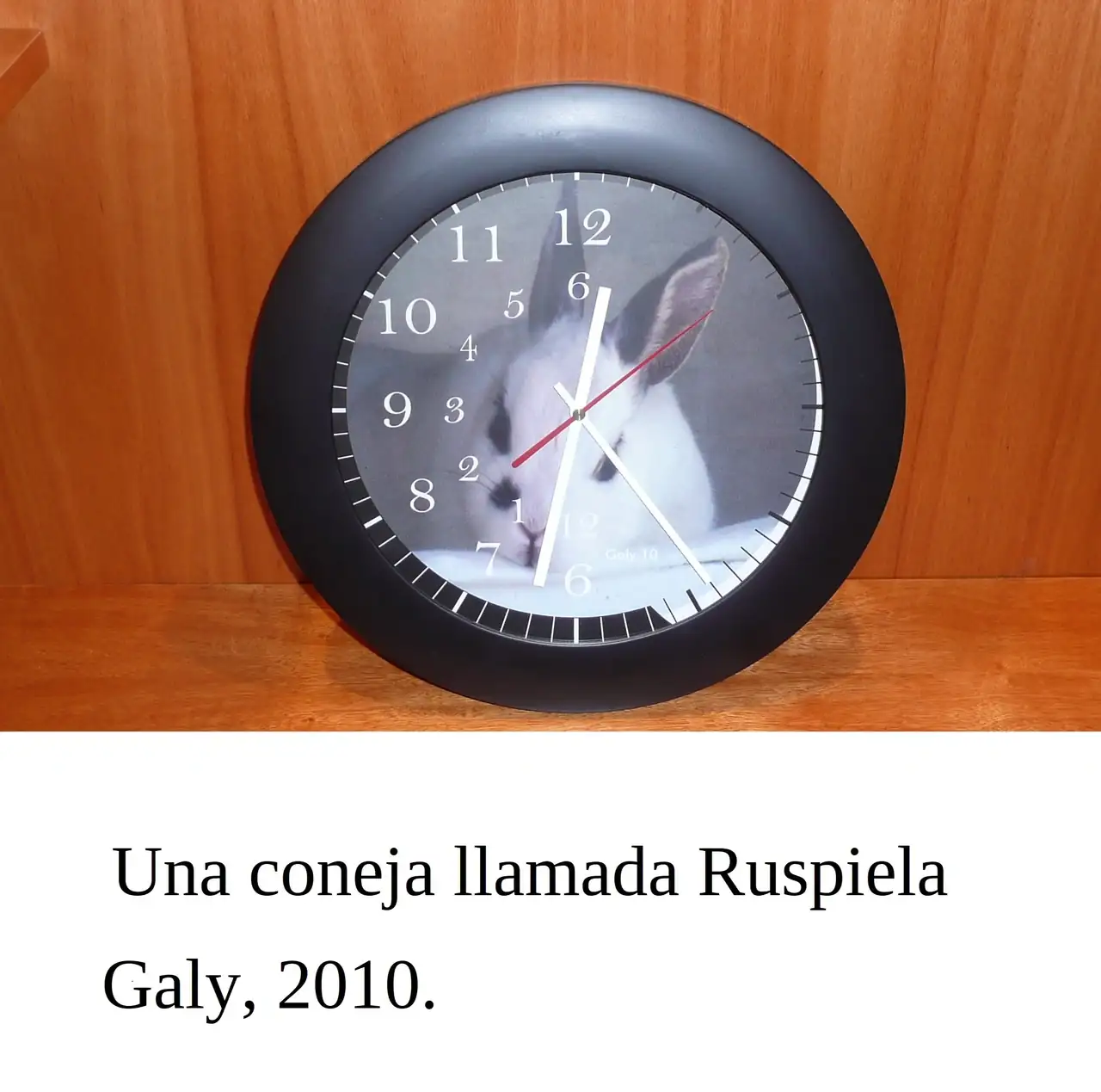 144 (2).webp
