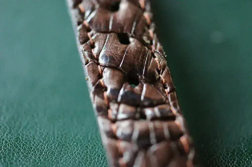 14488423358_39fb5b03f8_b.webp