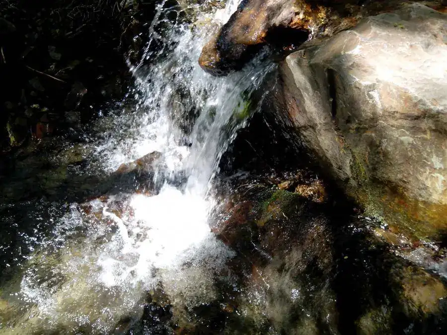 145.webp