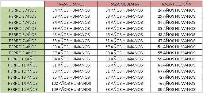1462486230-perros.webp