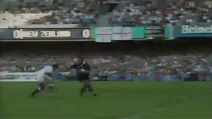 15.gif